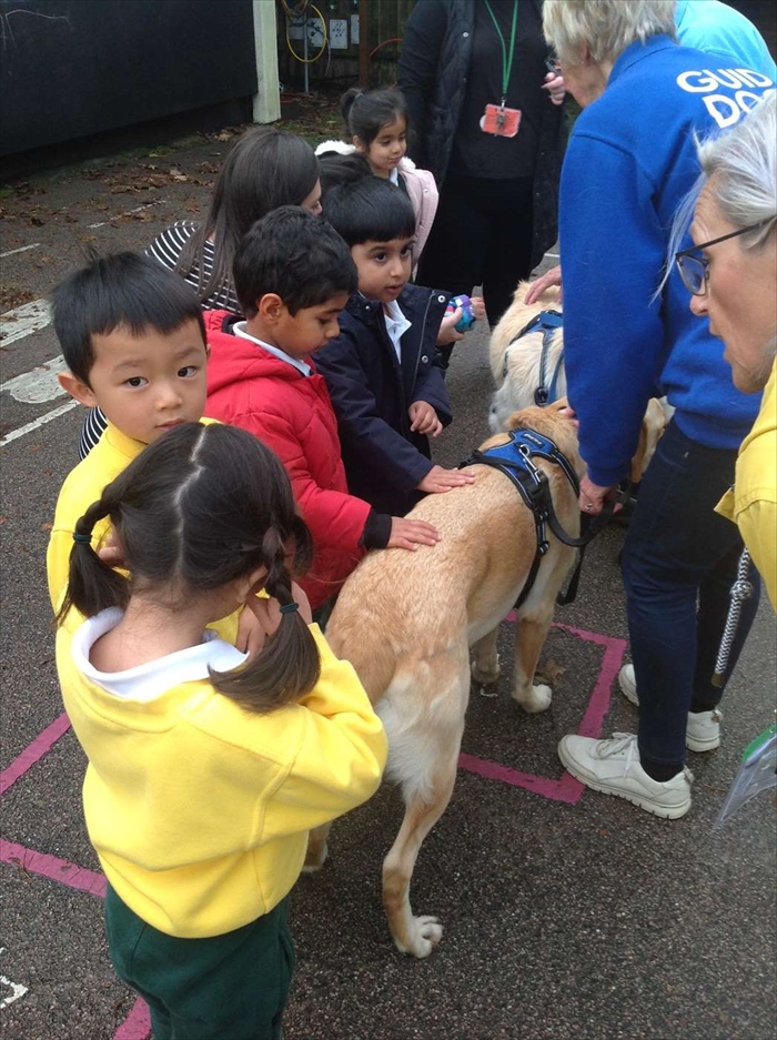Guide Dogs Visit Nursery